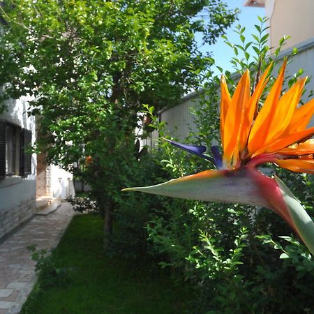 Bed and Breakfast Manelisa Cascais Exterior foto