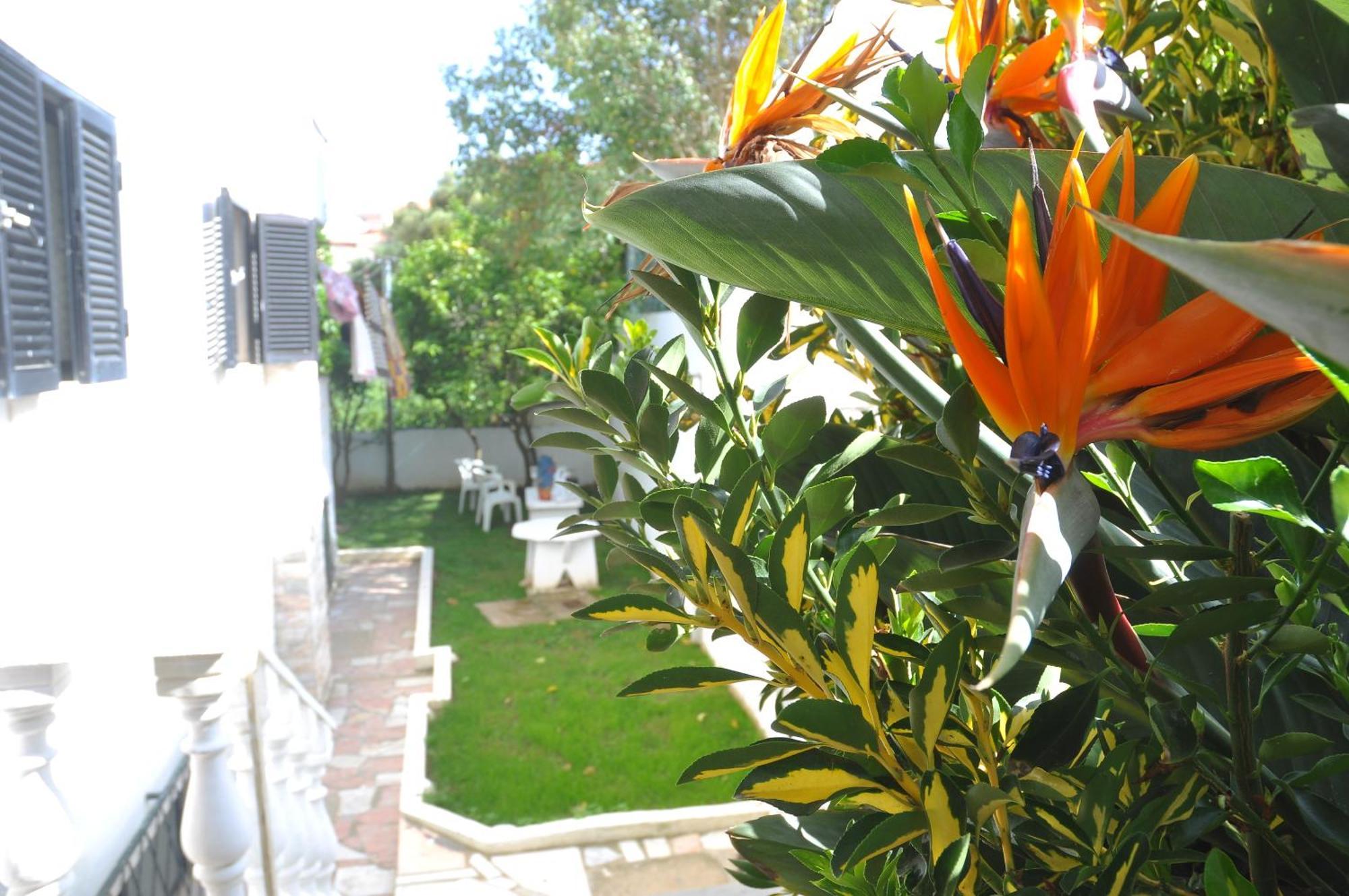 Bed and Breakfast Manelisa Cascais Exterior foto