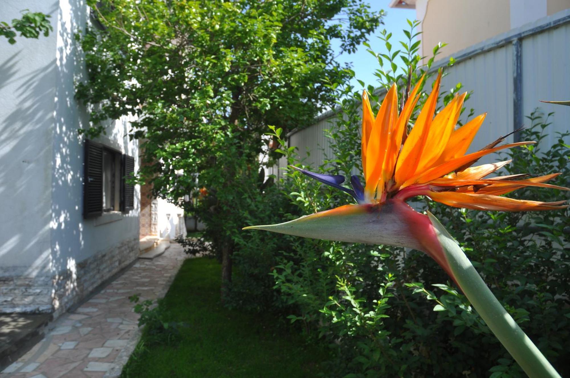 Bed and Breakfast Manelisa Cascais Exterior foto